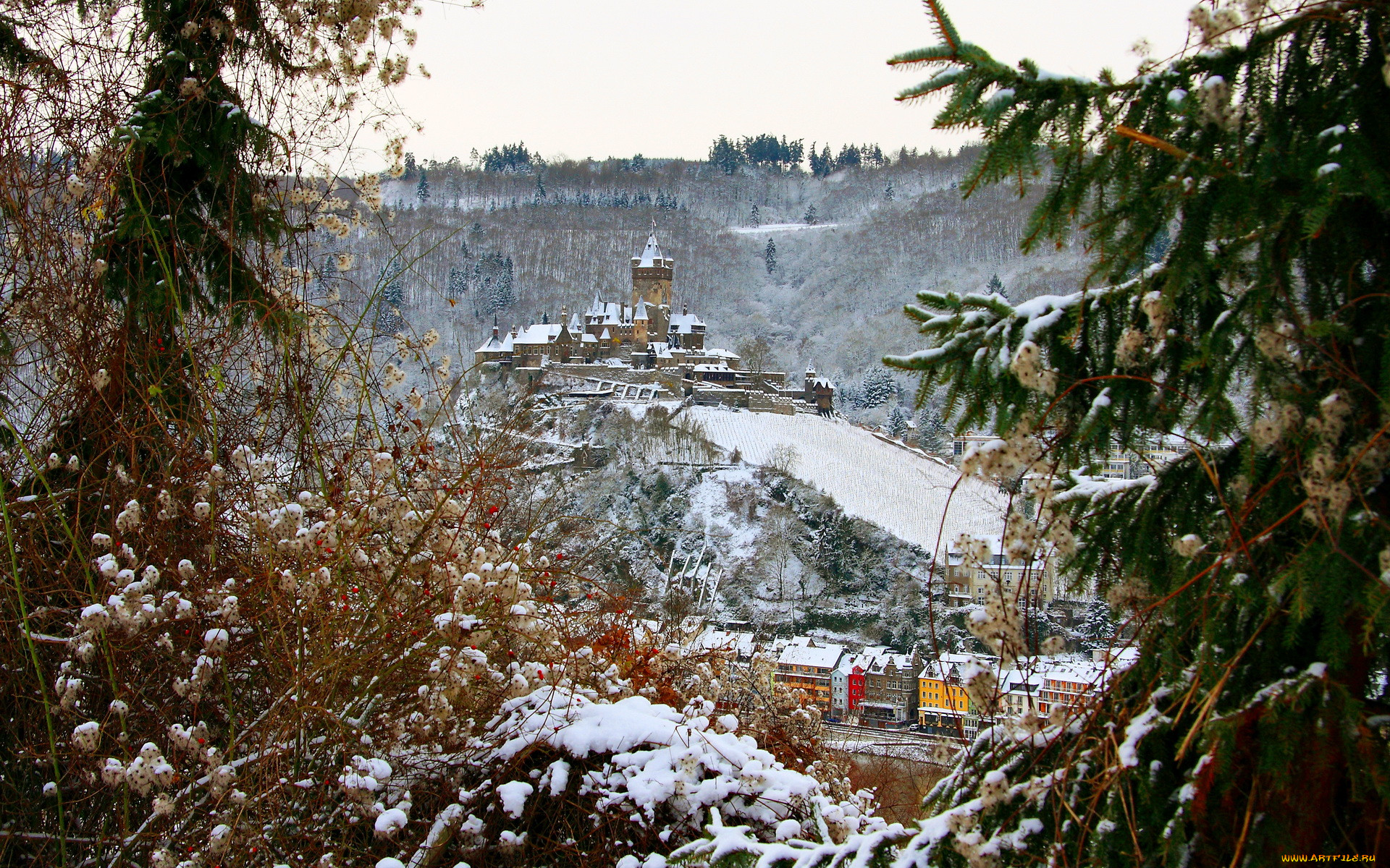 Кохем германия фото замок